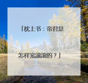 枕上书:帝君是怎样宠滚滚的?