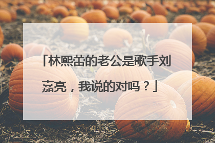林熙蕾的老公是歌手刘嘉亮,我说的对吗?