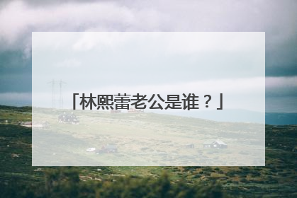 林熙蕾老公是谁？