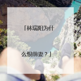 林瑞阳为什么恨前妻?