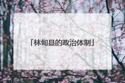 林甸县的政治体制