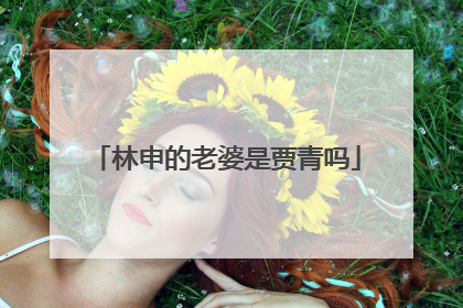 林申的老婆是贾青吗