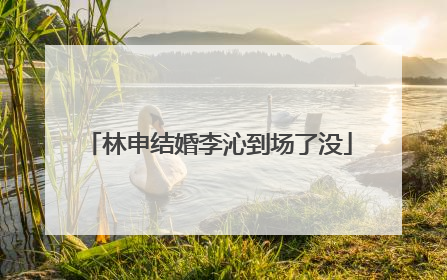 林申结婚李沁到场了没