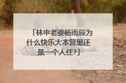 林申老婆杨雨辰为什么快乐大本营里还是一个人住?