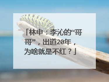 林申：李沁的“哥哥”，出道20年，为啥就是不红？