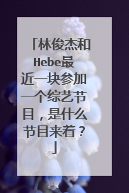 林俊杰和Hebe最近一块参加一个综艺节目，是什么节目来着？