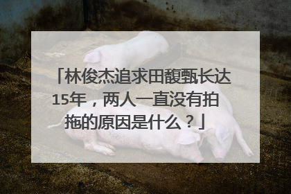 林俊杰追求田馥甄长达15年，两人一直没有拍拖的原因是什么？