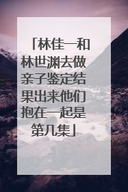 林佳一和林世渊去做亲子鉴定结果出来他们抱在一起是第几集