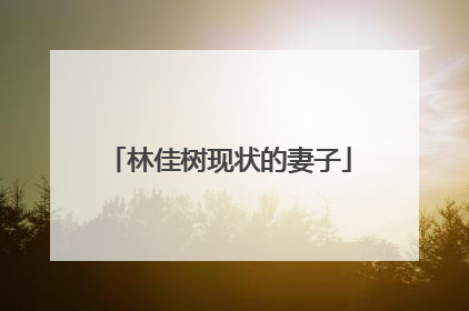 林佳树现状的妻子