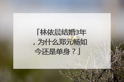 林依晨结婚3年，为什么郑元畅如今还是单身？