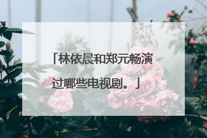 林依晨和郑元畅演过哪些电视剧。