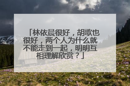 林依晨很好,胡歌也很好,两个人为什么就不能走到一起,明明互相理解欣赏?
