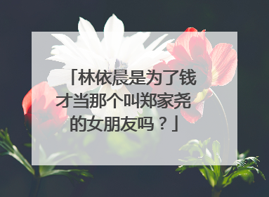 林依晨是为了钱才当那个叫郑家尧的女朋友吗？