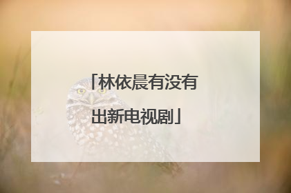 林依晨有没有出新电视剧