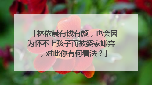 林依晨有钱有颜，也会因为怀不上孩子而被婆家嫌弃，对此你有何看法？