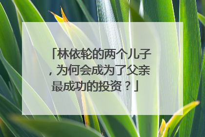 林依轮的两个儿子,为何会成为了父亲最成功的投资?