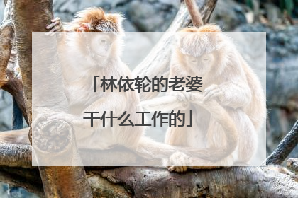 林依轮的老婆干什么工作的