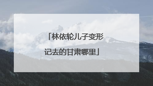 林依轮儿子变形记去的甘肃哪里