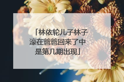 林依轮儿子林子濠在爸爸回来了中是第几期出现