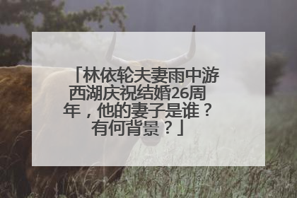 林依轮夫妻雨中游西湖庆祝结婚26周年，他的妻子是谁？有何背景？