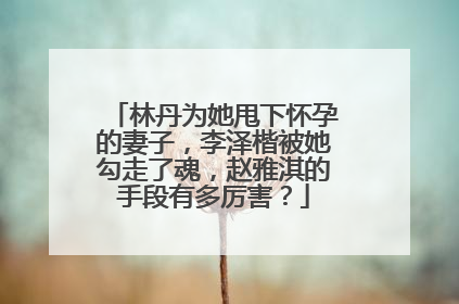 林丹为她甩下怀孕的妻子，李泽楷被她勾走了魂，赵雅淇的手段有多厉害？