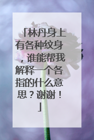 林丹身上有各种纹身，谁能帮我解释一个各指的什么意思？谢谢！