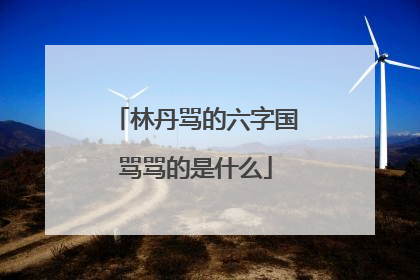 林丹骂的六字国骂骂的是什么