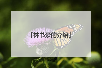 林书豪的介绍