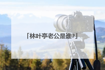 林叶亭老公是谁?