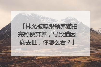 林允被曝跟领养猫拍完照便弃养，导致猫因病去世，你怎么看？