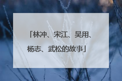 林冲、宋江、吴用、杨志、武松的故事