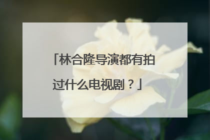 林合隆导演都有拍过什么电视剧？