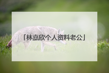 林嘉欣个人资料老公