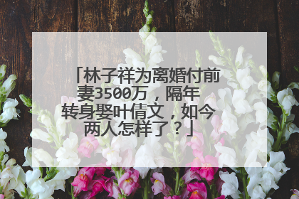 林子祥为离婚付前妻3500万，隔年转身娶叶倩文，如今两人怎样了？
