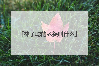 林子聪的老婆叫什么