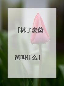 林子豪爸爸叫什么