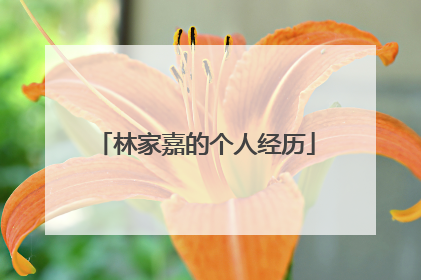 林家嘉的个人经历