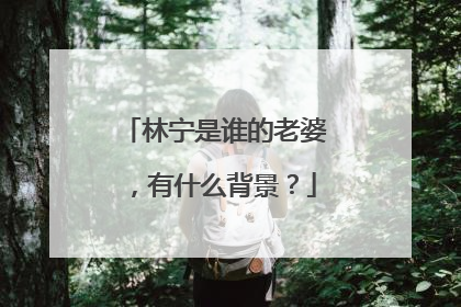 林宁是谁的老婆，有什么背景？