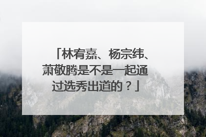 林宥嘉、杨宗纬、萧敬腾是不是一起通过选秀出道的?
