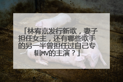 林宥嘉发行新歌，妻子担任女主，还有哪些歌手的另一半曾担任过自己专辑MV的主演？