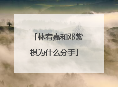 林宥嘉和邓紫棋为什么分手