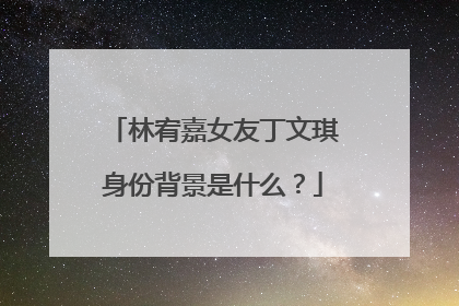 林宥嘉女友丁文琪身份背景是什么？