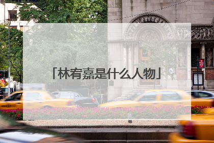 林宥嘉是什么人物