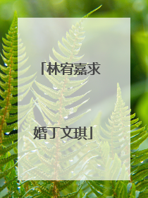 林宥嘉求婚丁文琪