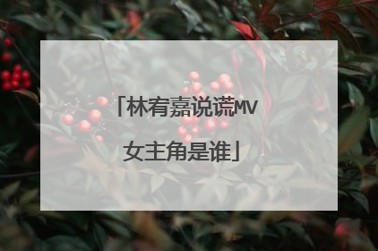 林宥嘉说谎MV 女主角是谁