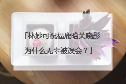 林妙可祝福鹿晗关晓彤为什么无辜被误会?