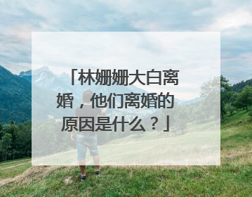 林姗姗大白离婚,他们离婚的原因是什么?