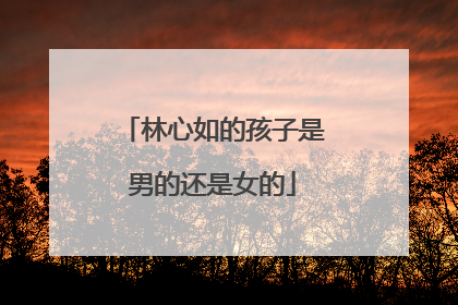 林心如的孩子是男的还是女的