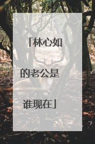 林心如的老公是谁现在