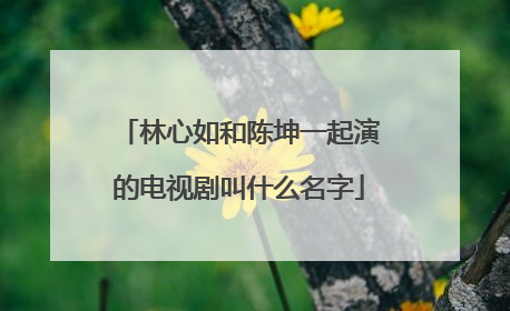 林心如和陈坤一起演的电视剧叫什么名字